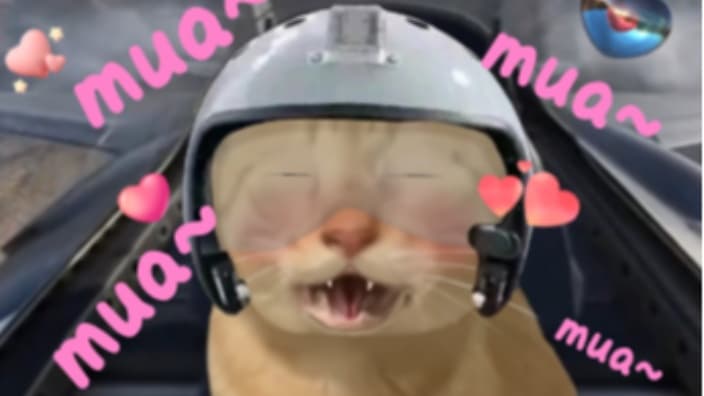 秋晚茉_luck 直播封面